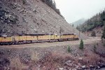 UP 3798 West with centennial in consist